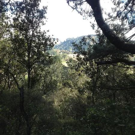 Ridge Country Retreat-3